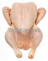 Quality Frozen Whole Chicken Halal with Chicken Parts