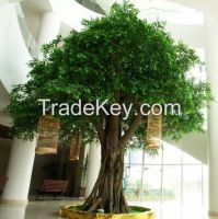 https://fr.tradekey.com/product_view/Artificial-Ficus-Tree-Banyan-Tree-For-Outdoor-Decoration-7393262.html