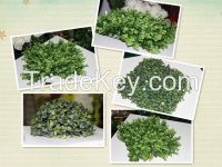 https://fr.tradekey.com/product_view/Artificial-Turf-Fake-Grass-Cheap-Wholesale-7428496.html