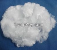 3D hollow conjugated polyester staple fiber