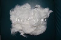 0.9DX32mm solid silicon,recycle polyester staple fiber