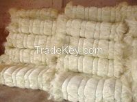 Natural raw sisal fiber