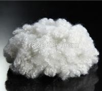 Hollow conjucated polyester FIBER