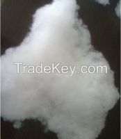 recycled polyester fiber 15dx32mm