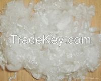 hollow conjugated polyester staple fiber
