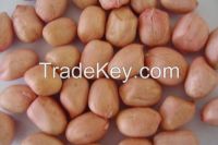 2015 crop raw peanut / peanuts/groundnuts