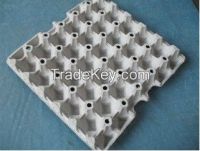 Egg Tray Pulp