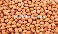 2015 crop peanut / peanuts/groundnuts 50/60