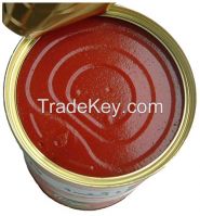 2015 tomato ketchup/canned tomato paste