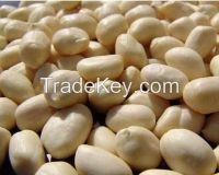 High quality Raw blanched peanut kernels, peanuts in shell, roasted peanut inshell