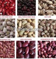 Kidney Beans, Red Kidney Beans,White Beans,Red Lentils,Green Lentils, Green Mung Beans,Vanilla Seed,