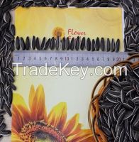 Long Shape Sunflower / Pumpkin Seeds kernels