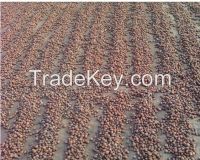 https://ar.tradekey.com/product_view/Betel-Nuts-areca-Catechu-Split-80-85-Good-Cut-8343716.html