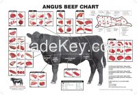 beef cuts