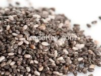 Chia Seeds Conventional and Organic