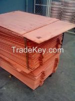 copper cathodes and milberry