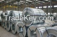 Galvanized & Galvannealed Steel Coils 