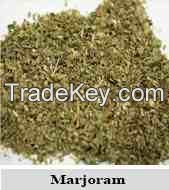 Marjoram