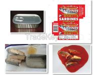 Canned bonito tuna, canned mackerel, canned sardines of Chinese origin