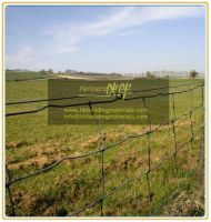 China factory export Hot dipped Galvanized cattle fence,Deer field fence,deer fence