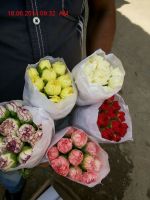 Rose, Carnation, Gerbera, Tuberose, Gladoli