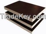 Brown Film Faced Plywood