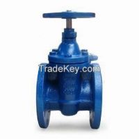 DIN 3352 Cast Iron Gate Valve, PN10, DN300 - Landee Valve