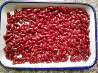 Canned Red Kidney Bean White Kidney Bean