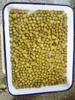 https://www.tradekey.com/product_view/Canned-Grean-Peas-8708238.html