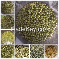 2014 new crop green mung beans