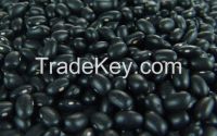 Black Small Kidney Beans