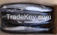 Fresh Atlantic Mackerel, Dried and Frozen Horse Mackerel, FROZEN SPANISH MACKEREL, indian mackerel, mackerel 