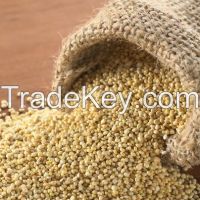 https://www.tradekey.com/product_view/100-Organic-White-Quinoa-7320259.html