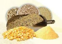 https://www.tradekey.com/product_view/Alfalfa-Hay-Yellow-Corn-Chicken-Feed-Wheat-Animal-Feed-Soybean-Meal-7318887.html