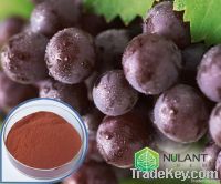 Grape seed extract 95% Proanthocyanidins (OPC)