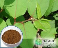 Giant knotweed extract resveratrol 50%  501-36-0
