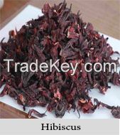 Hibiscus