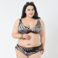 2015 New Brand Big Women Plus Size Sexy Bikini Brazilian Biquini Swimsuit Triangl Swimwear Bikini Push Up Busty Ladies Bikinis XL - 5XL