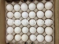Fresh Brown And White Chicken Eggs NEW ARRIVALS