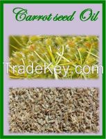 Carrot seed Oil