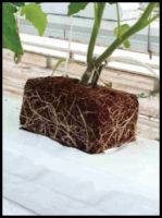 Coco Peat Starter Block