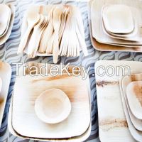 Disposable areca Plates