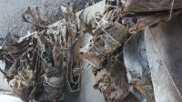 DONKEY HIDES DONKEY SKIN
