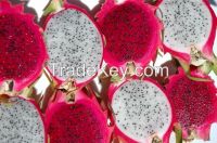 Dragon fruit white and red flesh