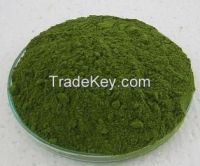 Organic Fiji Moringa Leaf Powder
