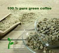 Green Coffee Robusta, Arabica