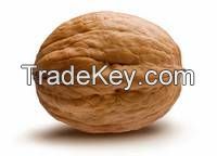 PISTACHIO NUTS, CASHEW NUTS, ALMOND NUTS, PEANUTS FOR SALE