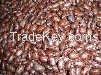 https://www.tradekey.com/product_view/Castor-Seed-For-Sale-7373067.html