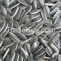 sunflower seed for sale