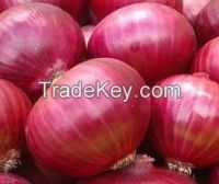 onion seeds